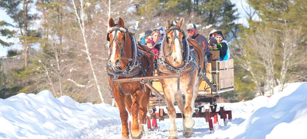 horse drawn sleigh in the winter
