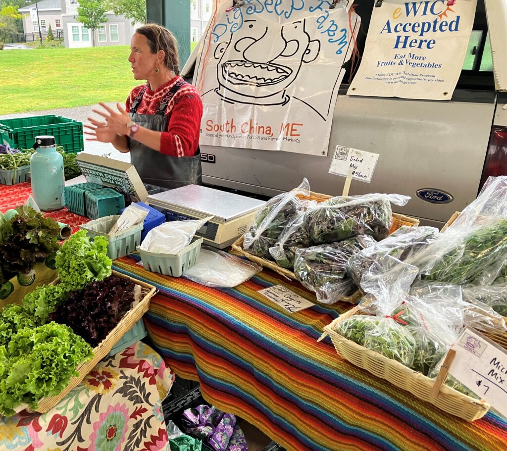 Farmers market stall with colorful vegetables, leafy greens, and handmade signs from Dig Deep Farm.